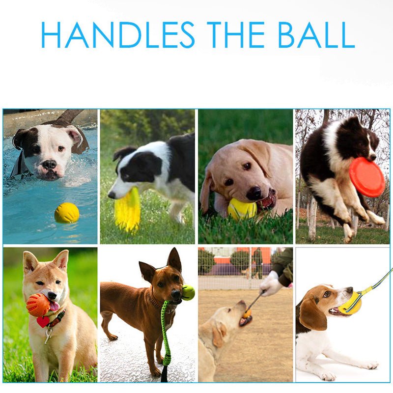 EVA Pet Training Toy