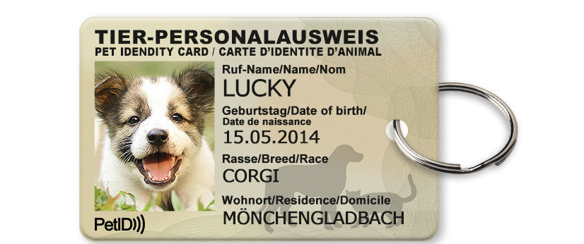 Pet Id Card