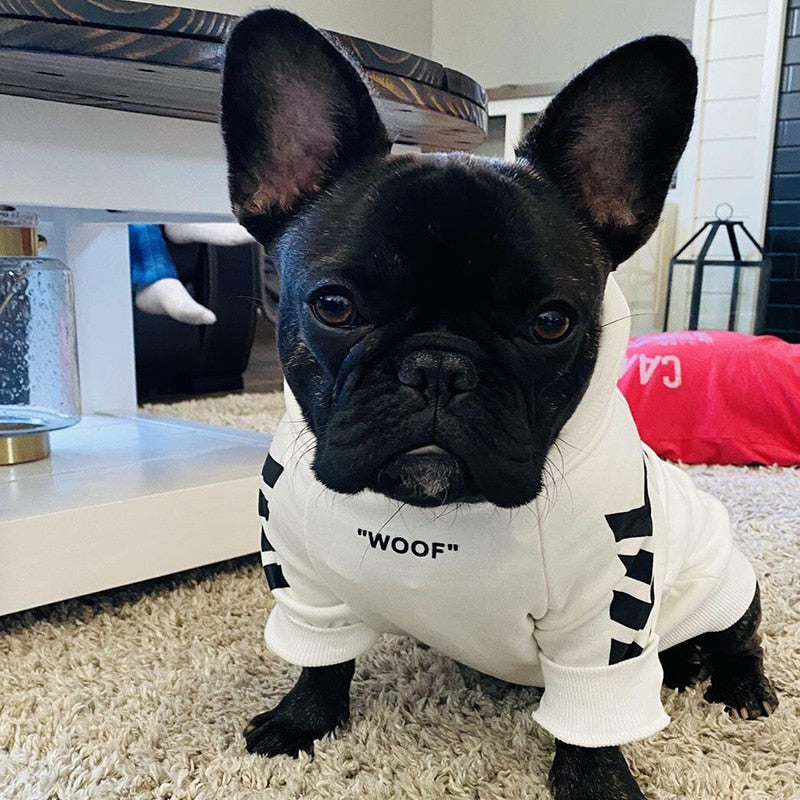 Winter Dog Jacket With Hood
