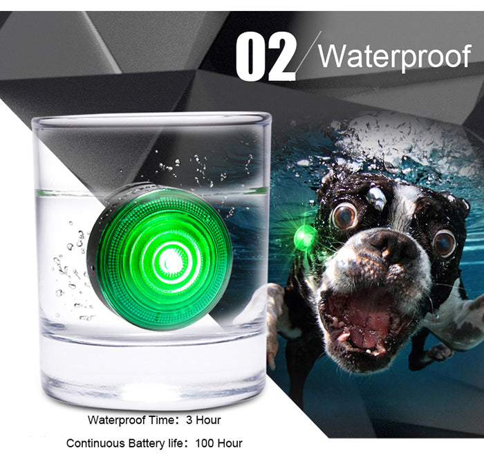 Dog Anti-Lost Night Light