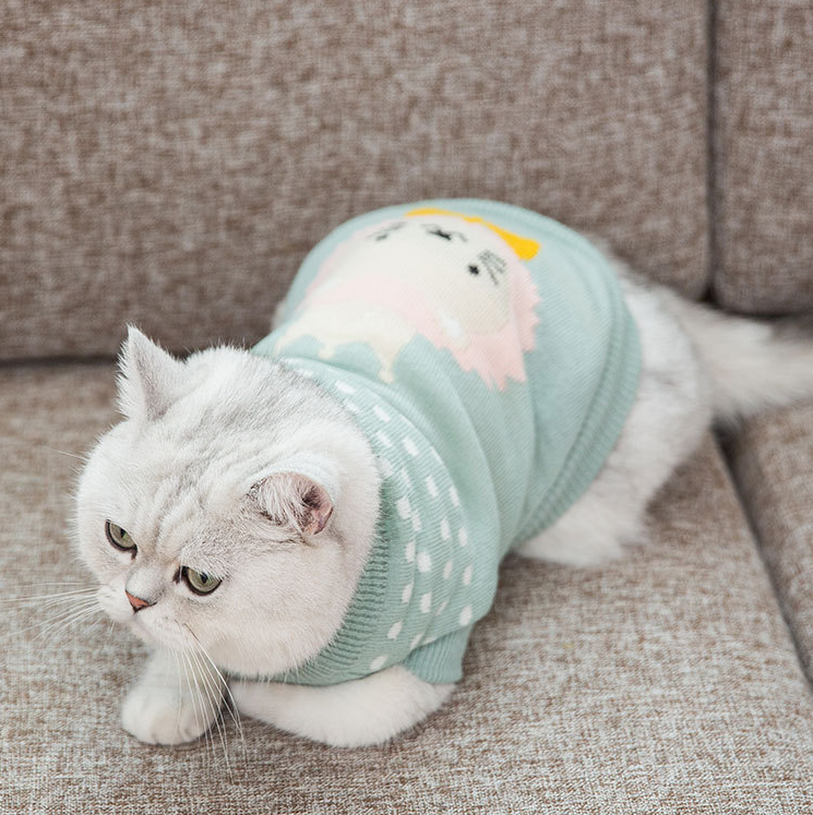 Wool Dog Sweater