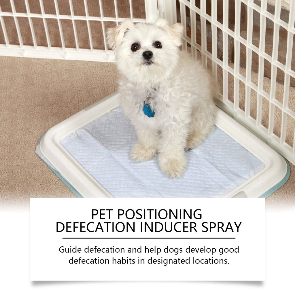 Gentle Non-Irritating Pet Potty-Training Aid