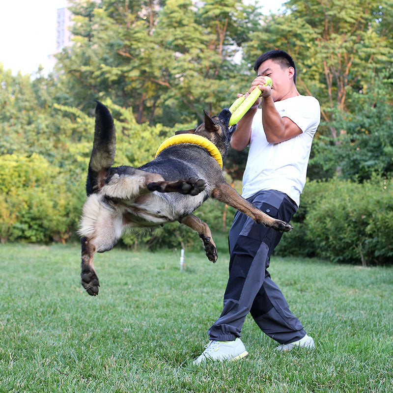 EVA Dog Training Ring Toy