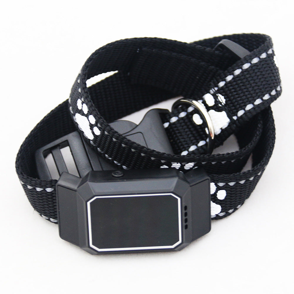 Pet Collar GPS Locator
