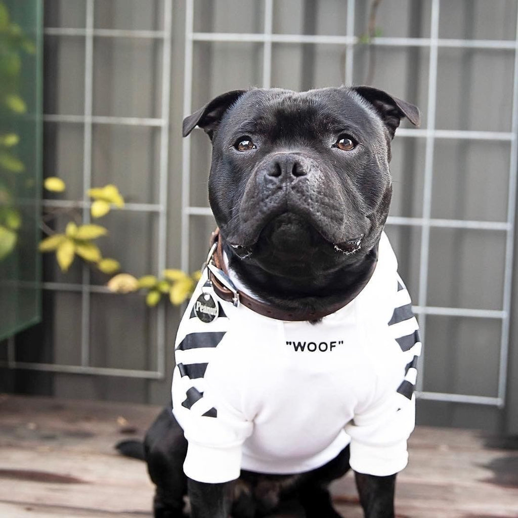 Pet Tide Brand Dog Plus Velvet Thick Sweater