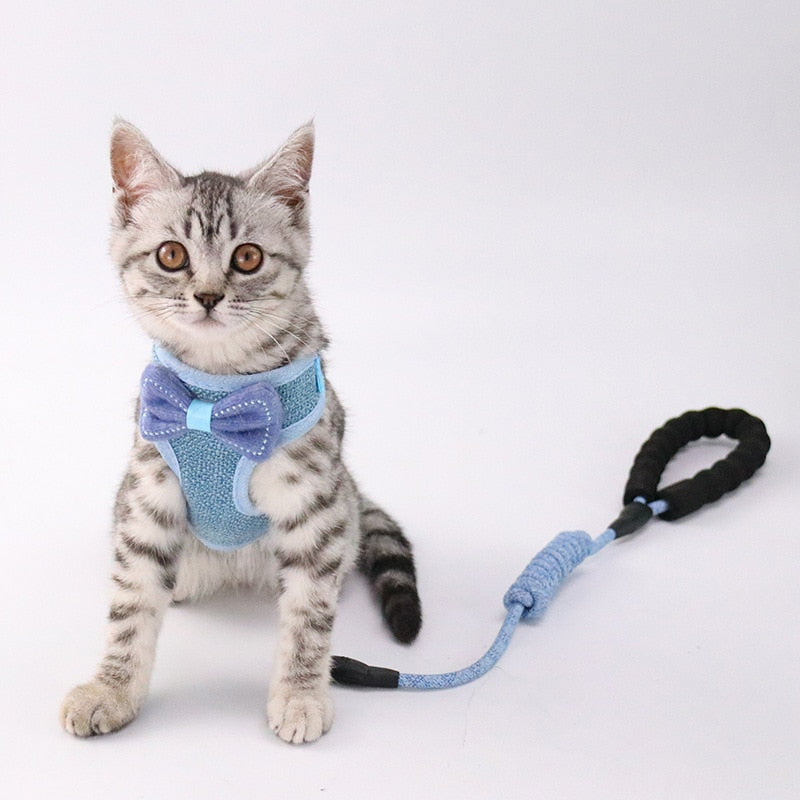 Pet Chest And Back Leash