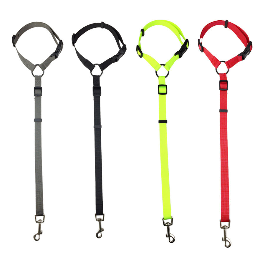Nylon Pet Safety Leash