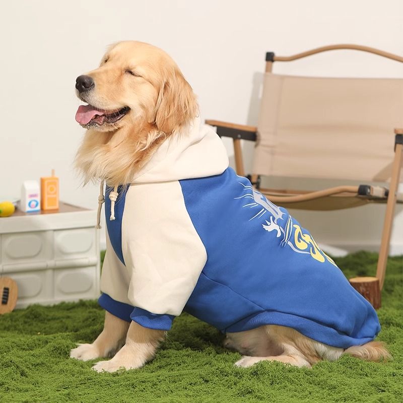 Large Border Collie Dog Sweater