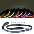 Fluorescent Dog Collar