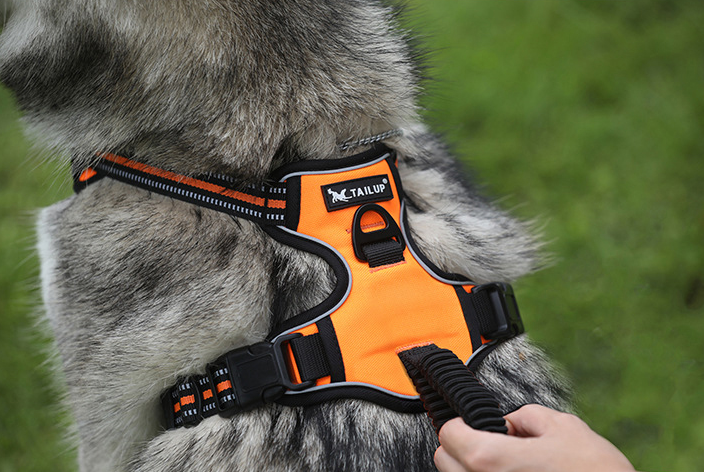Reflective Dog Strap