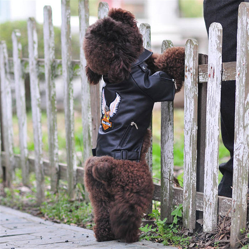 Small Dog Embroidered Eagle Artificial Leather Jacket