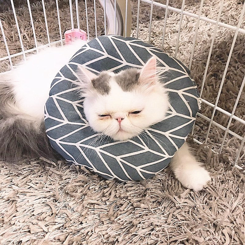 Anti-Scratch And Anti-Licking Soft Headgear Collar