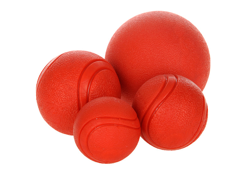 Pet The Dog Rubber Toy Ball