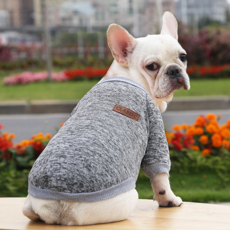 Fall Winter New Style Sweater Two-Legged Clothes Dog Supplies