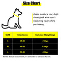 Dog'S Chest Harness Traction Rope