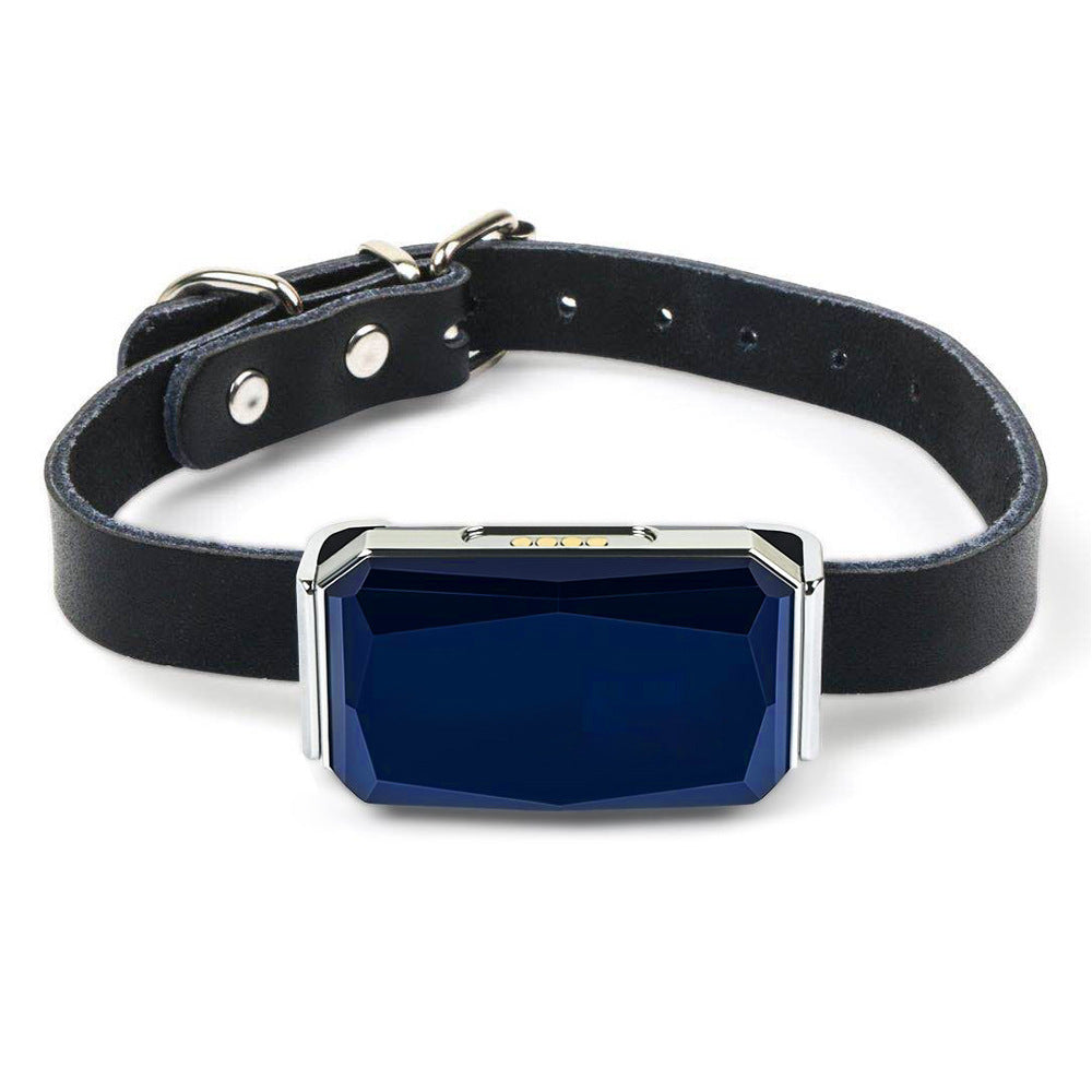 GPS Tracking Device