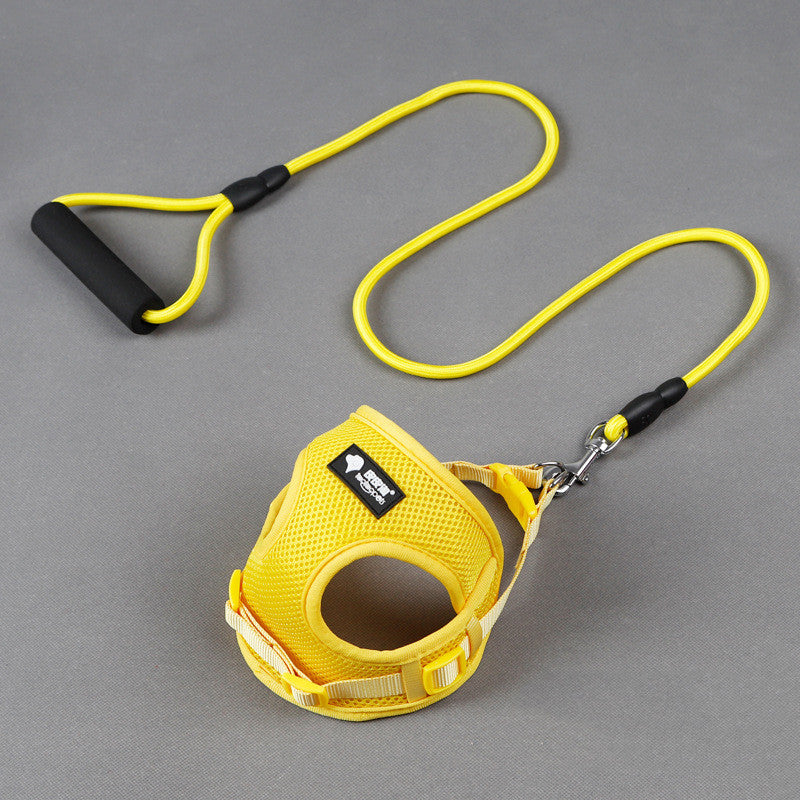 Dog Leash and Collar