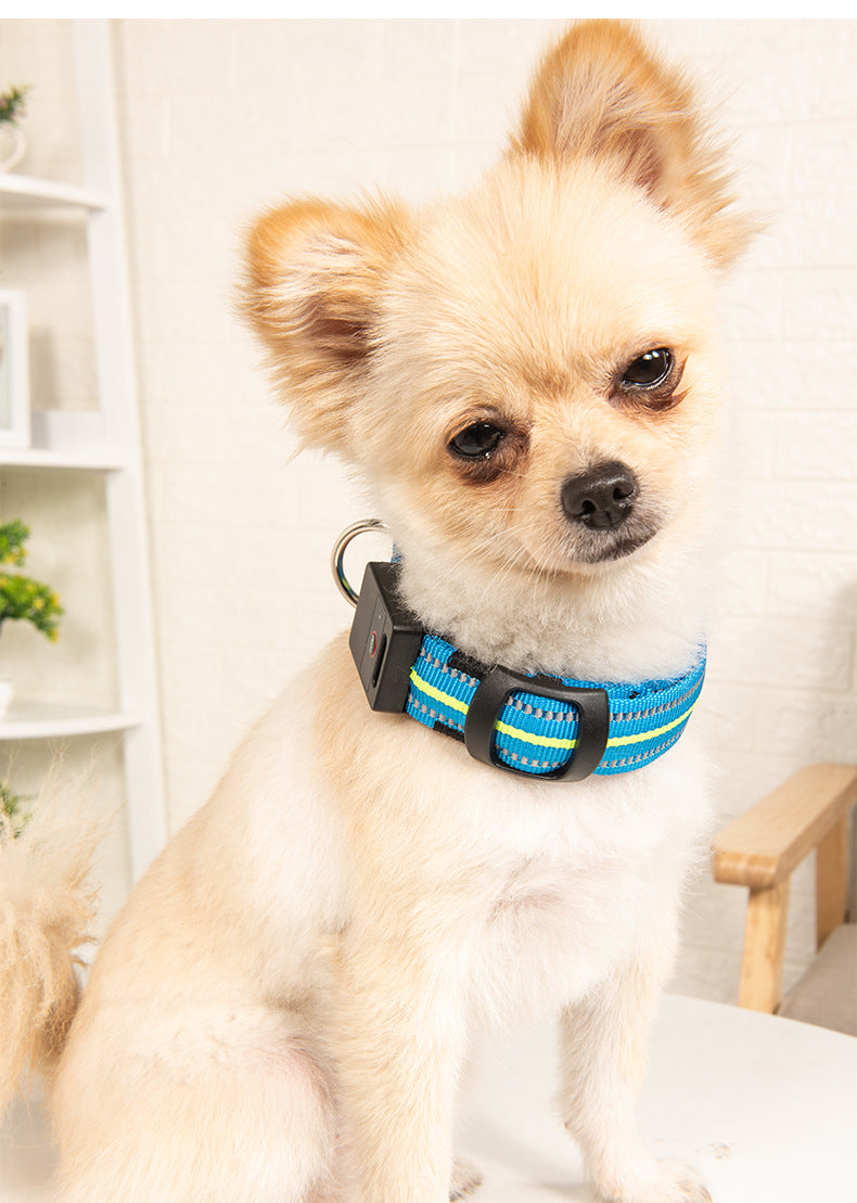 Pet Dog Glowing Collar