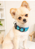 Pet Dog Glowing Collar