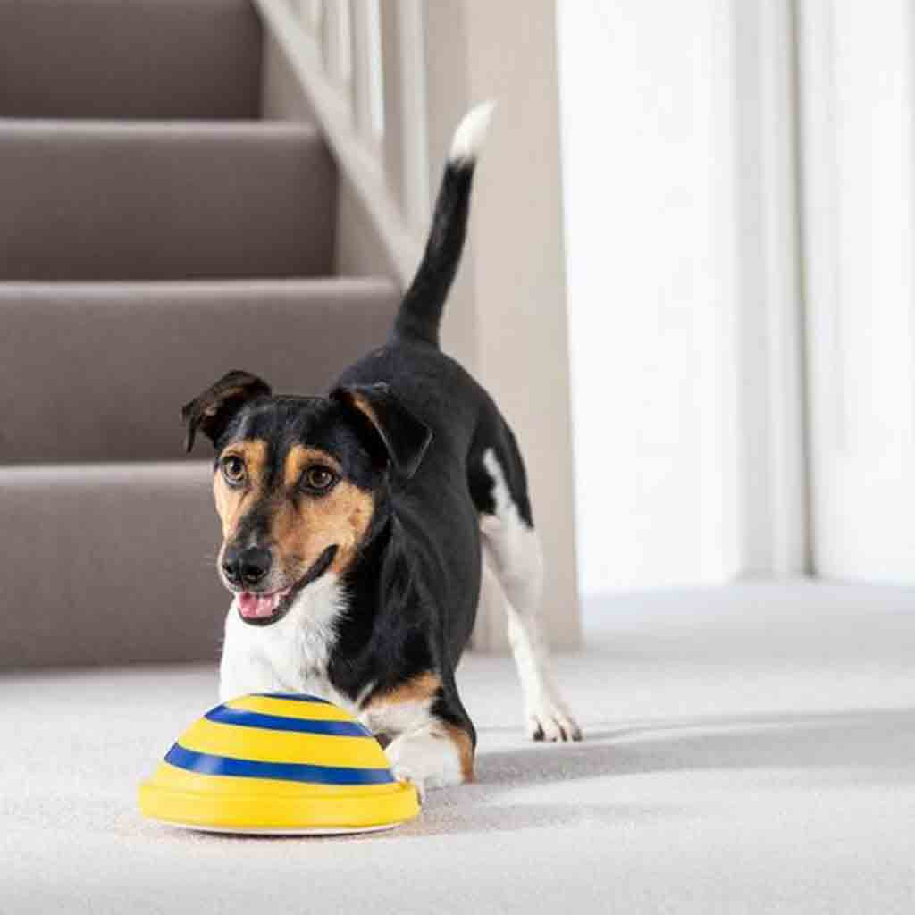 Soft Indoor Dog Sound Toy