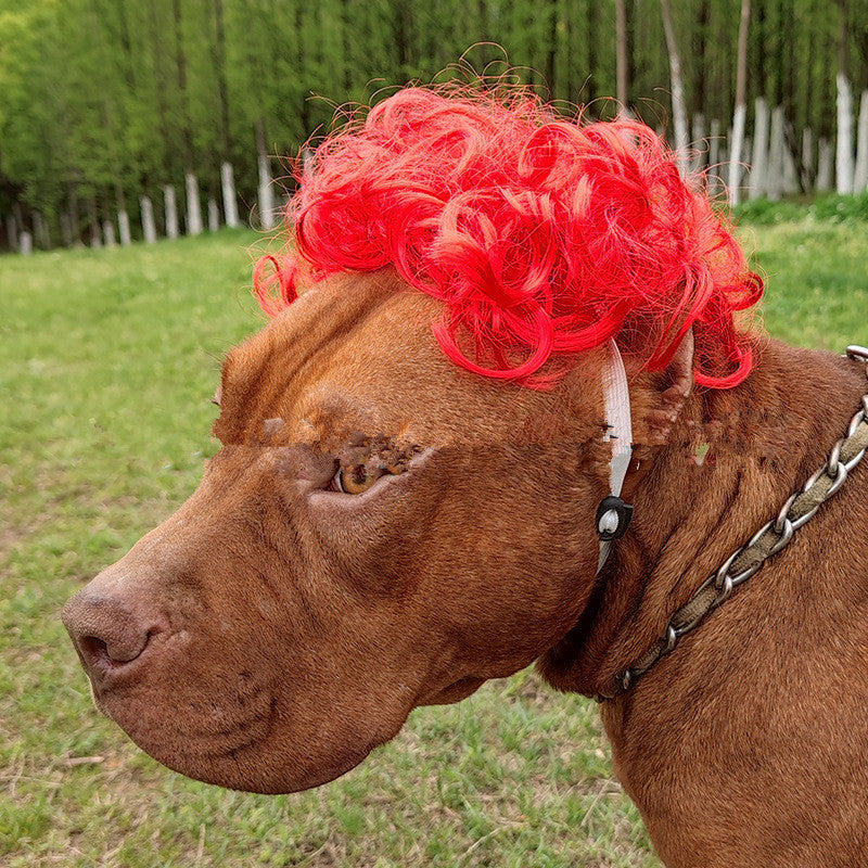 Dog Afro Wig With Bangs And Pigtail