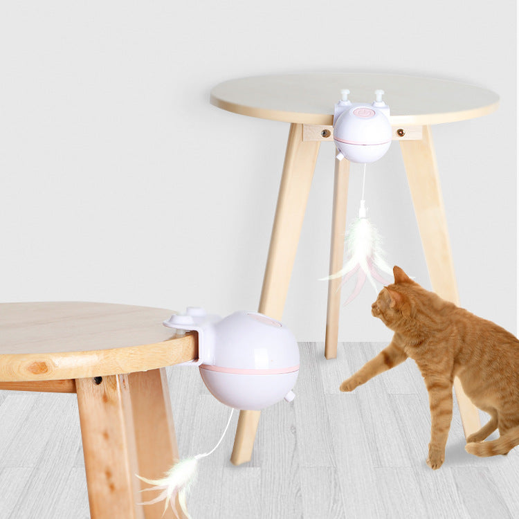 Pet Toy Ball