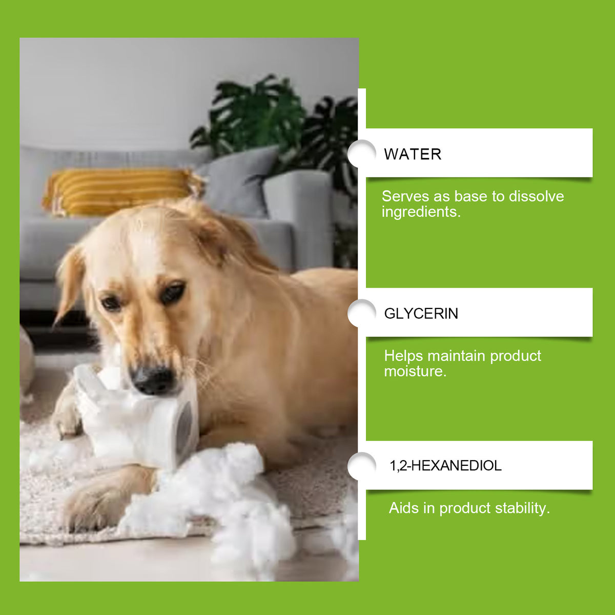 Bitter Flavor Anti-Chewing Dog Training Spray