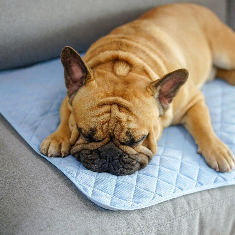 Pet Dog Ice Silk Pad