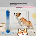 Electric Rolling Ball Dog Toy