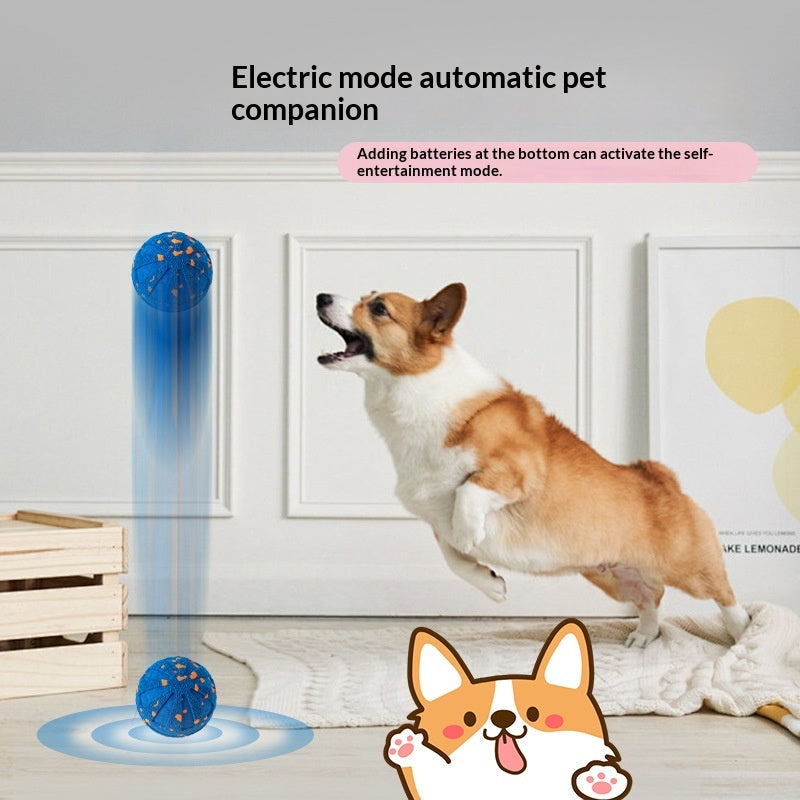 Electric Rolling Ball Dog Toy