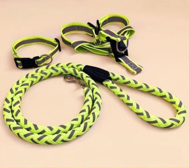 Pet Dog Leash