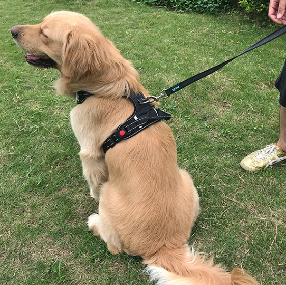 Medium And Large Dog Vest Type Dog Rope