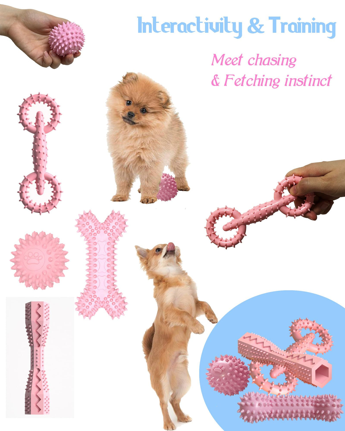 Puppy Teething Chew Toy Set