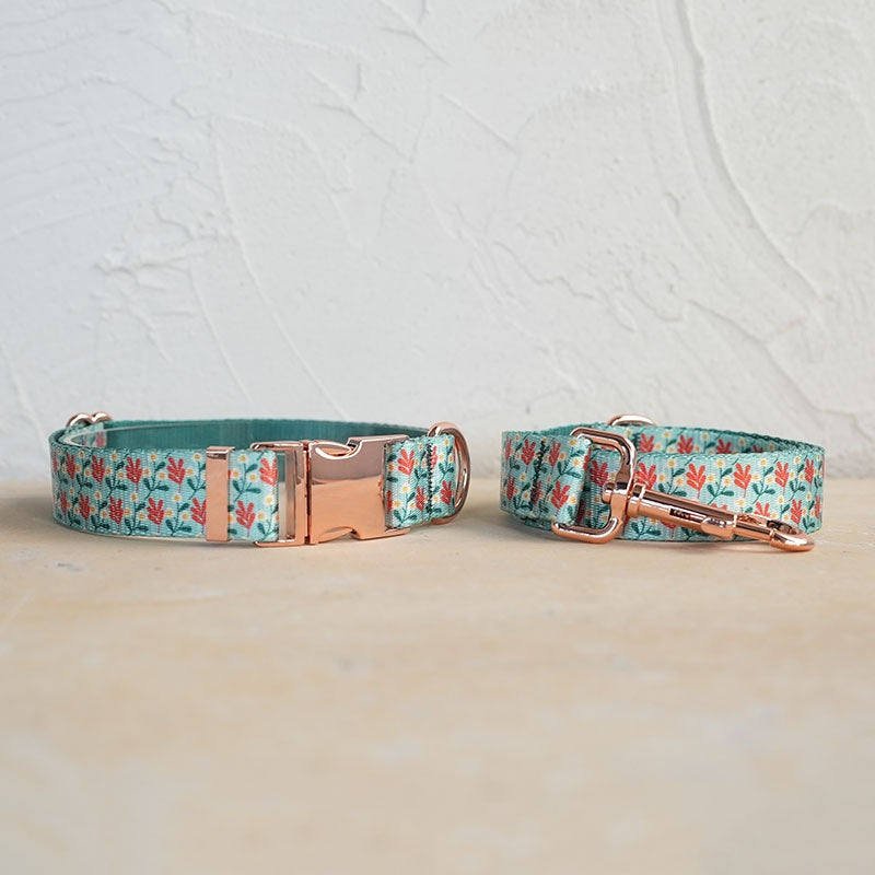 Soft Dog Collar and Leash Set