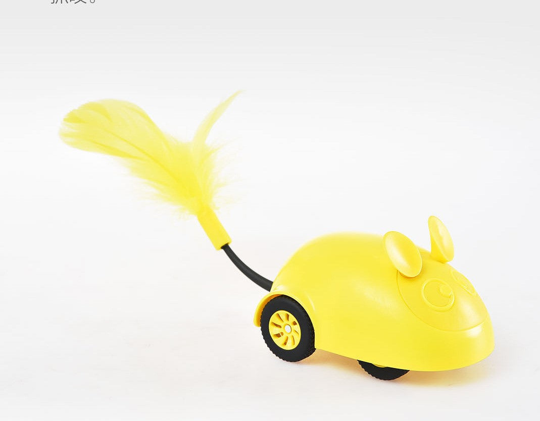 Remote Control Food Leaking Car