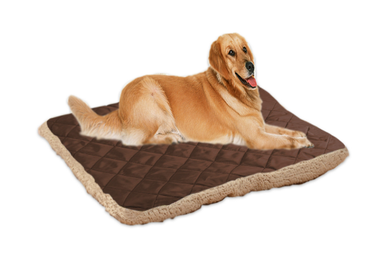 Pet Ice Silk Cushion
