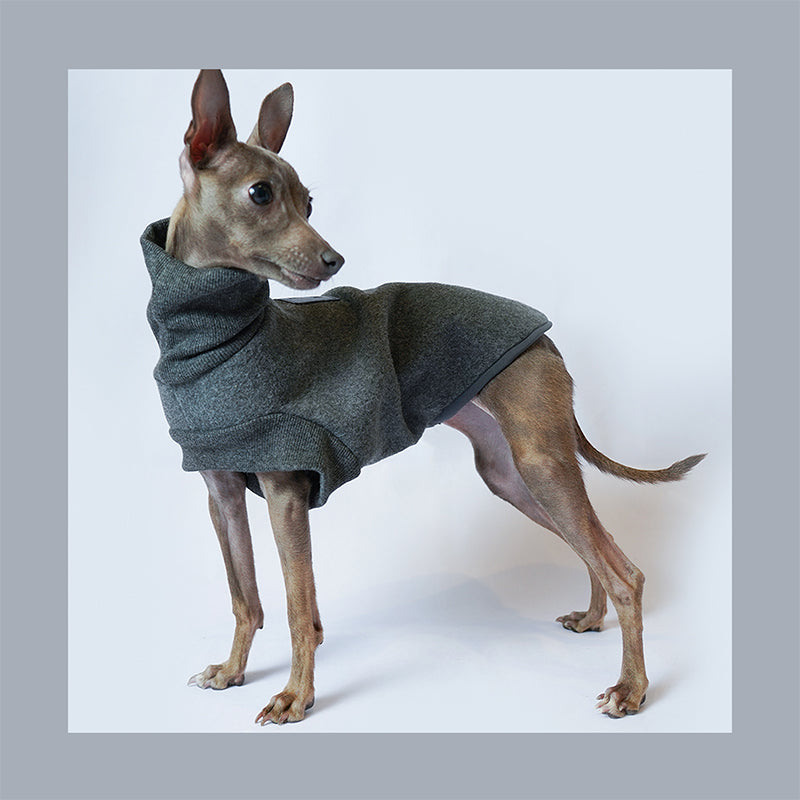 Double Thickened Dog Warm Clothes