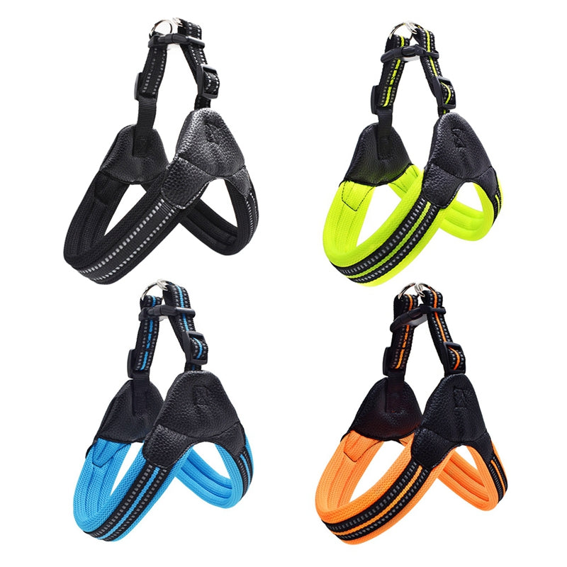 Reflective Leash For Dog