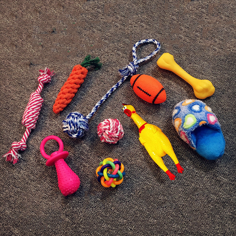 Vocal Dog Toy Set