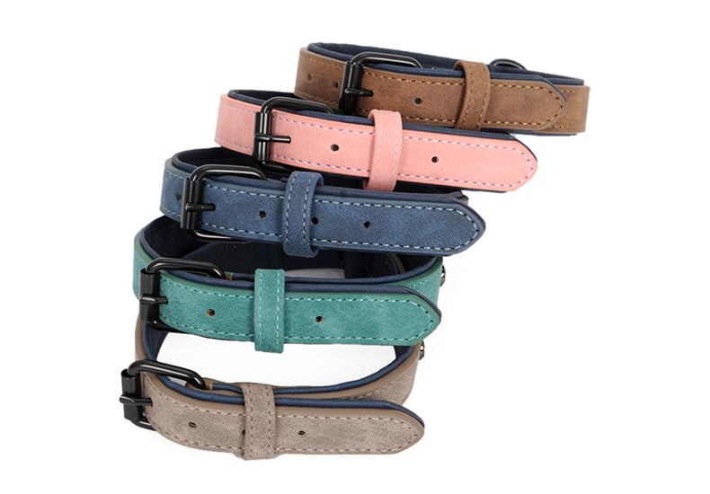 Puppy Dog Collar Teddy Bear Collar Collar Ring Law Golden Hair Small Medium Dog Dog Leash Pet Supplies
