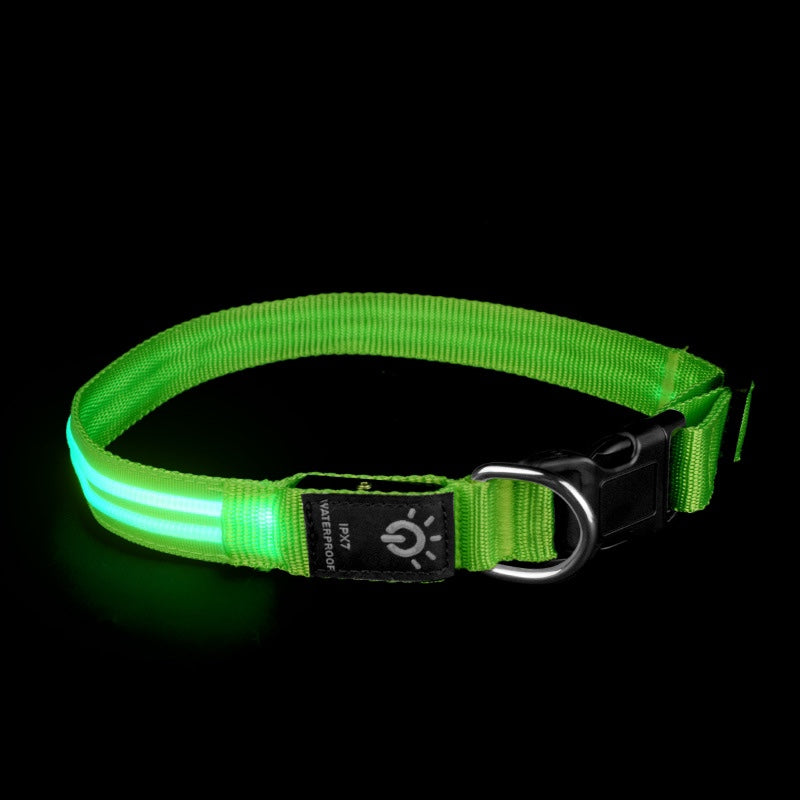 LED Waterproof Pet Collar For Night