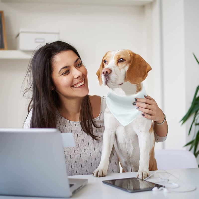 Fashion Adjustable Personalized Thermal Transfer Dog Scarf