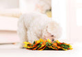 Washable Jungle Pet Sniffing Mat