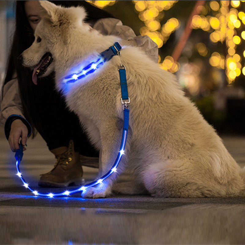 USB Charging Luminous Pet Leash