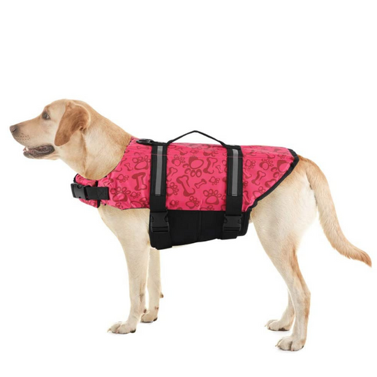 Paw Roll Developing Product