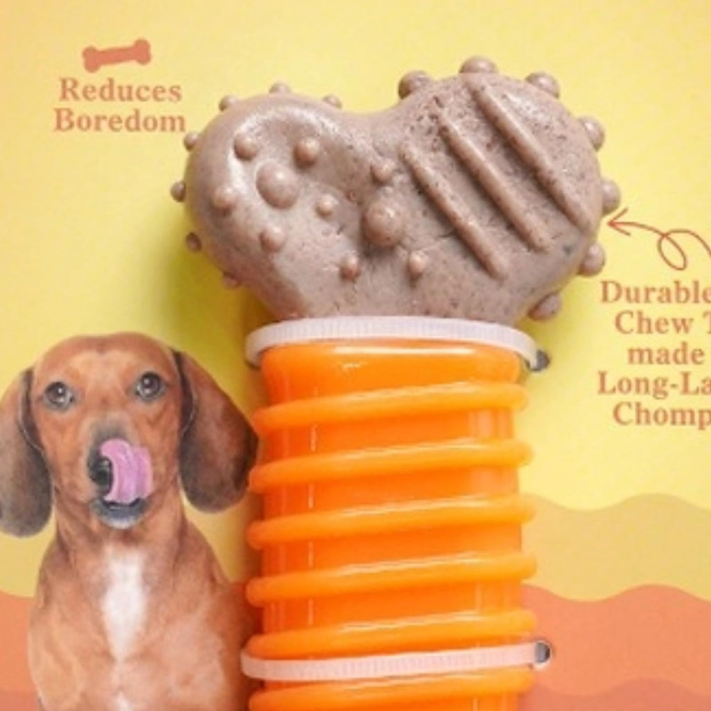 Durable Toothbrush Chew Toy For Aggressive Chewers