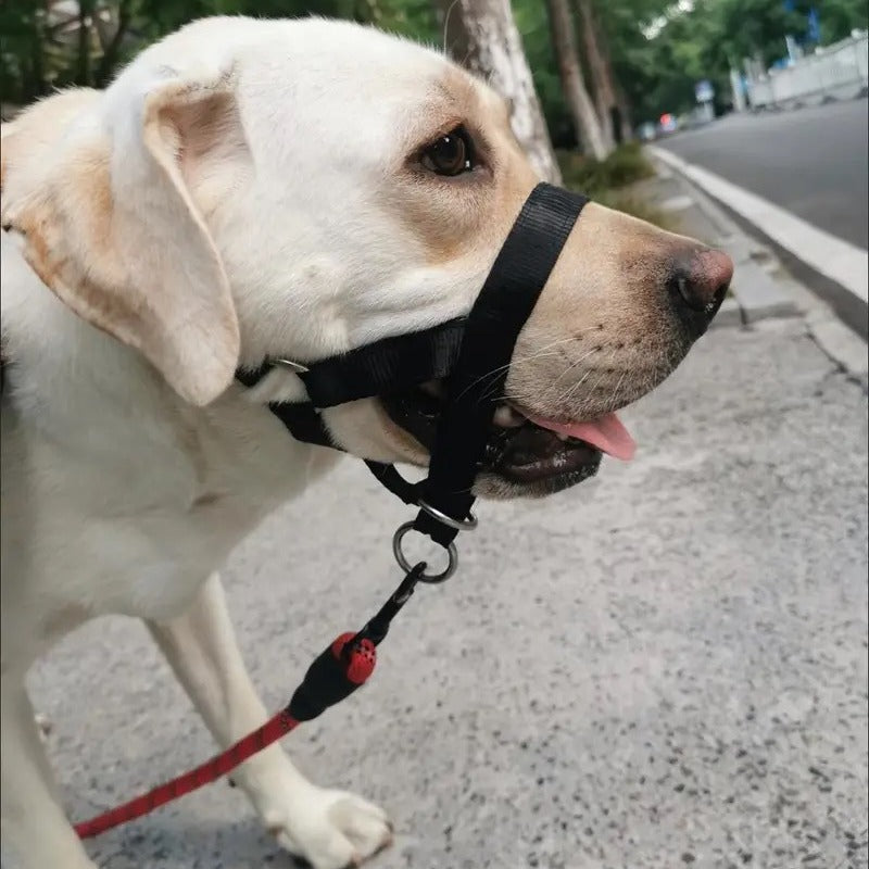 Short-Handled Nose-Ring Dog Walking Leash