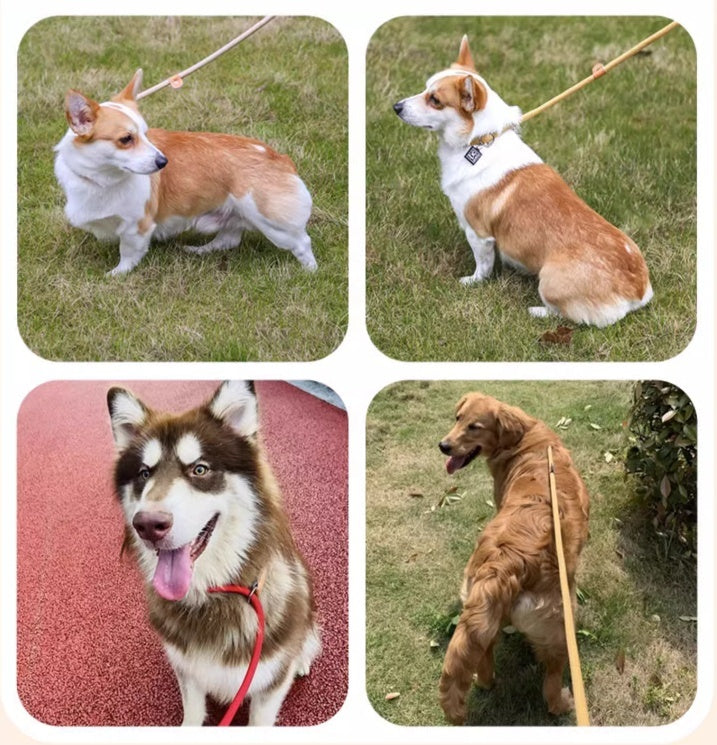 Large, Medium And Small Dogs Explosion-Proof Hand Holding Rope