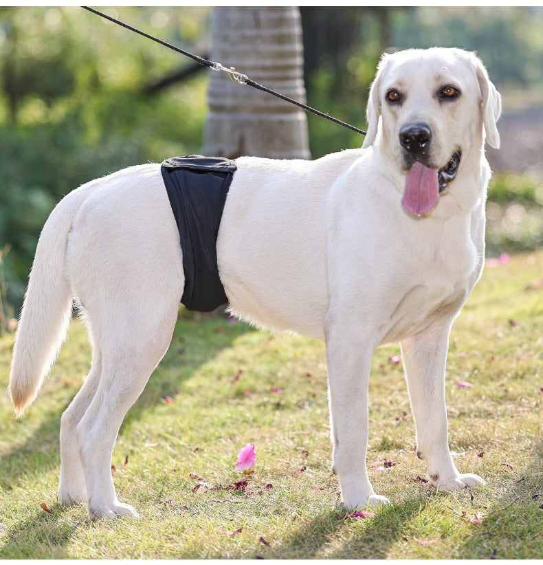 Sterilization Male Dog Diaper Bellyband
