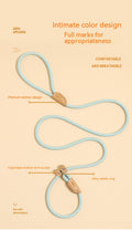 Household Dog Pet Hand Holding Rope